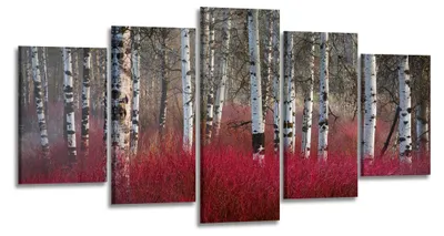 Produktbild von 6335 Birkenwald Leinwandbild 5-teilig 200x100 cm