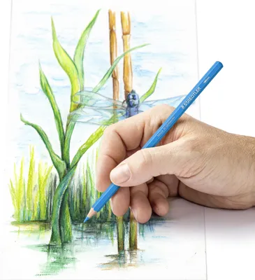 Immagine prodotto di STAEDTLER® 14610C M24 Matita colorata acquerellabile 24 pezzi   100% PEFC