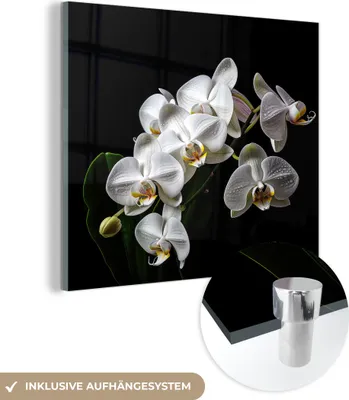 Produktbild von MuchoWow Glasbilder - Bilder auf Wandbild - Foto auf Glas Orchidee - Blumen - Weiß - Natur - Schwarz 90x90 cm Wanddekoration aus Glas - Acrylglasbild - Acrylbilder - Wandschmuck - Bilder