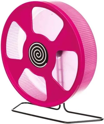 Produktbild von Fitnessrader aus Plastik 33 cm - TX-61012