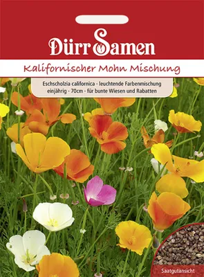 Produktbild von Dürr-Samen - Kalifornischer Mohn leuchtende Farbmischung einjährig - Saatgut - 1857