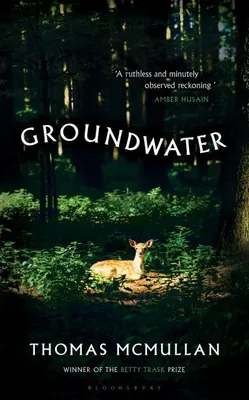 Produktbild von Groundwater