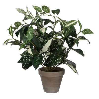 Produktbild von Mica Decorations Kunstliche Pflanze - Cordyline - grun - im Topf - 25 x 33 cm