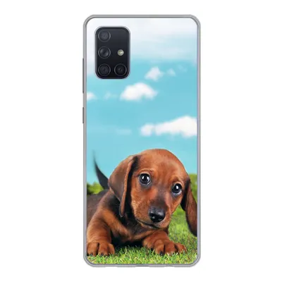 Produktbild von MuchoWow® Handyhülle Schutzhülle Hülle für Samsung Galaxy A51 5G Schöner Himmel über einem niedlichen Dackelwelpen Silikon Softcase Handy Hülle - Abbildung