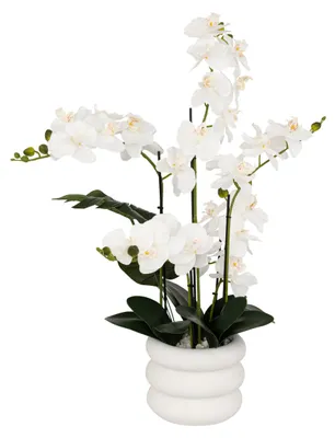 Image de Orchidée artificielle en pot « Mick » en céramique blanche, H 80 cm  - Atmosphera créateur d'intérieur