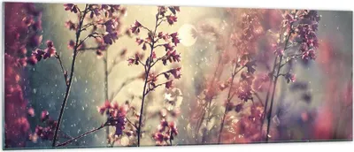 Produktbild von Bilder auf glas - Einteilig - Blumen Regen Licht - 140x50cm - Glasbilder - Wandbilder - Bilder - zum Aufhängen bereit - Wanddekoration aus Glas - Glas Bilder - Wandbild auf Glas - GAB140x50-4218