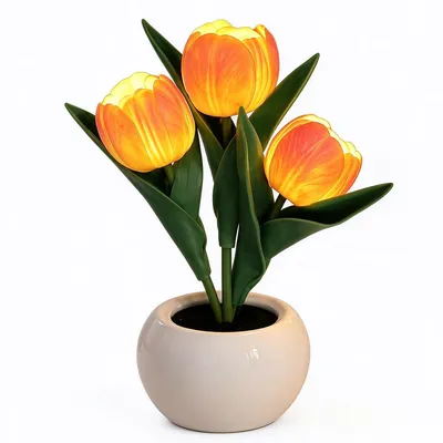 Produktbild von Tulpen-Nachtlicht, 3er LED-Blumenlampe aus Keramik, USB 5V, warmweißes Licht, dekorative Tischlampe für Schlafzimmer, Büro, Wohnzimmer & Geschenk