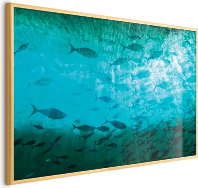 Produktbild von Posterpapier Poster - Group of Dark Fish 30x21 cm Tiere g-C-10160-ao-a