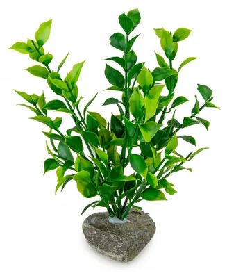 Image de Plante d'aquarium artificielle, 20 cm, lestée, verte