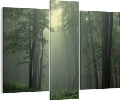 Produktbild von Bild auf Leinwand - Leinwandbild - Wald Nebel Baum - 95x80cm - Wand Bild - Wanddeko - Wandbilder - Leinwanddruck - Bilder - Kunstdruck - Wanddekoration - Leinwand bilder - Wandkunst - CB95x80-3543