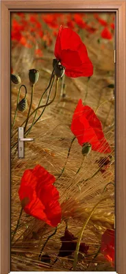 Produktbild von Türposter 80x200 cm Türaufkleber Türtapete Türfolie Klebefolie Pflanzen Blumen Mohn Blumen Felder