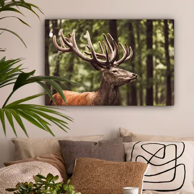 Produktbild von OneMillionCanvasses® - Leinwandbilder - 150x100 cm, Hirsch - Natur - Geweih - Wald - Tiere, Wandbilder Kunstdruck Wanddekoration