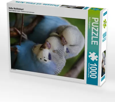 Produktbild von CALVENDO Puzzle Süße Welliküken! | 1000 Teile Lege-Größe 64x48cm Foto-Puzzle für glückliche Stunden