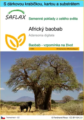 Obrázek produktu pro SAFLAX Dárková sada - Africký baobab - Adansonia digitata - 6 Semena - S dárkovou krabičkou, přepravním štítkem, dárkovou kartou a pěstebním médiem