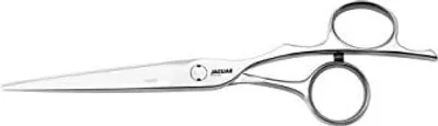 Produktbild von Jaguar HS 6,0 70060 Fame Silver Line