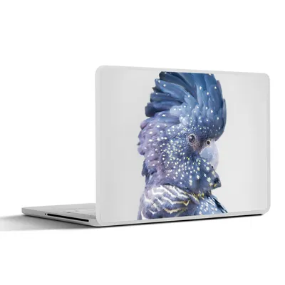Produktbild von MuchoWow® Laptop Aufkleber Sticker Cover Kakadu - Blau - Tiere - Natur 36.5x27.5 cm - Laptop-Sticker