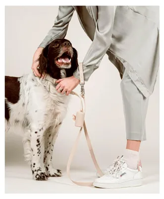 Produktbild von Hundeleine Ease, Biothane Leine für Hunde, variable Längen von 100-190 cm, Soft-Touch, wasser- und schmutzresistent