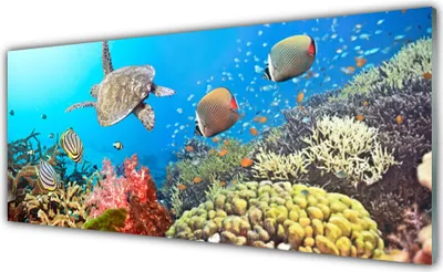 Produktbild von Acrylglasbilder 125x50 Wandbild Druck Korallenriff Landschaft