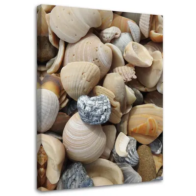 Produktbild von Leinwandbild muscheln und steine am strand 80x120 cm Feeby beige wandbild bereit zum aufhängen