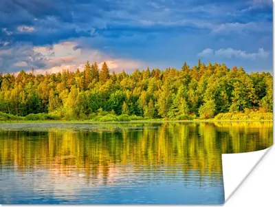 Produktbild von MuchoWow® Poster Wasser - Natur - Wald 120x90 cm - Wandbild