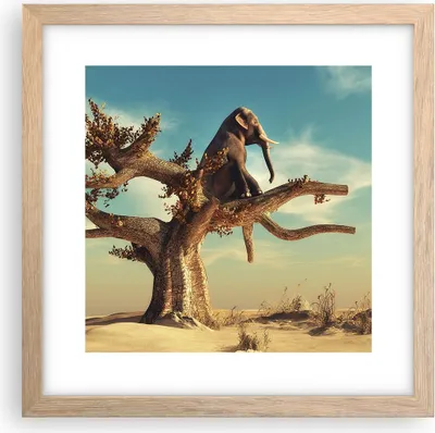 Produktbild von Gerahmtes Poster - Rahmen in heller Eiche - Sitzen Elefant Baum - 30x30 cm - Wand Bild - Wanddeko - Wandbilder - Wandposter - Bilderrahmen - Bilder - Kunstdruck - Wandbild - P2NAC30x30-4345