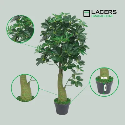 Produktbild von Lacers SMARAGDLINE pflegeleichte künstliche Schefflera – Strahlenaralie 105cm - realistische Optik, Dekoration für Wohnzimmer, Balkon und Büroräume
