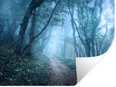 Produktbild von MuchoWow® Wandtattoo Wandsticker Wandaufkleber Bäume - Natur - Nebel 40x30 cm Selbstklebend und Repositionierbar - Faltenfrei