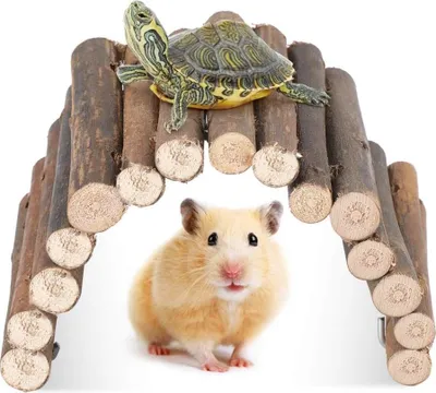Image de Petite maison-pont en bois pour hamster, modulable