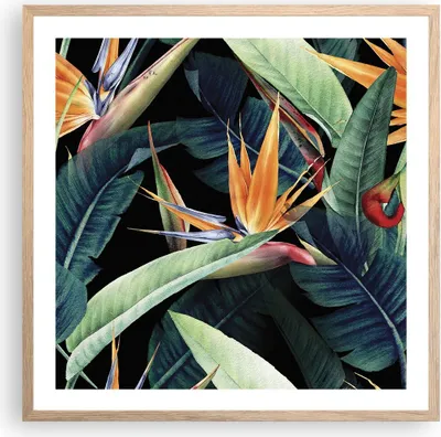 Produktbild von Gerahmtes Poster - Rahmen in heller Eiche - Pflanze Tropisch Blume - 60x60 cm - Wand Bild - Wanddeko - Wandbilder - Kunstposter - Wandposter - Bilderrahmen - Bilder - Kunstdruck - P2NAC60x60-5093