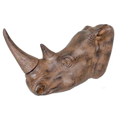 Produktbild von Geweih, Nashorn