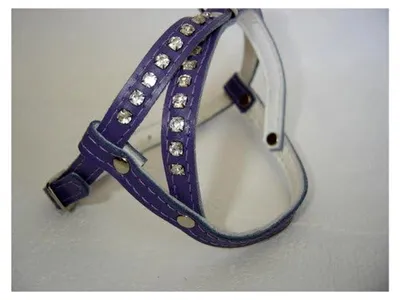 Produktbild von Geschirr mit Strass - Zirkonia Brustumfang 34-40cm Leder + Lila Violett