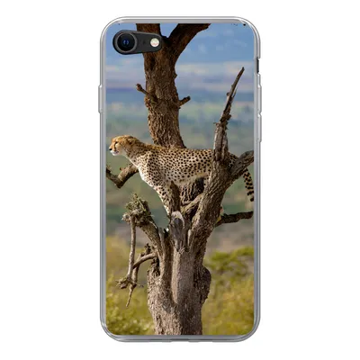 Produktbild von MuchoWow® Handyhülle Schutzhülle Hülle für iPhone SE 2020 Leopard - Baum - Tier Silikon Softcase Handy Hülle - Kartenbesitzer