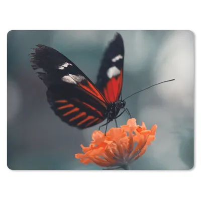 Produktbild von MuchoWow® Mauspad Mousepad Schmetterling - Blume - Insekt 40x30 cm - Mousepads - Maus Mat - Pad - Mausunterlage - Anti Rutsch