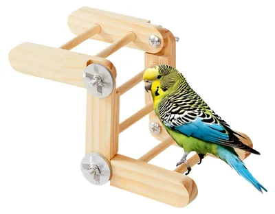 Produktbild von Vogelleiter aus Holz für Käfige, Standstation für Nymphensittiche, Käfigdekoration für Lovebirds und andere Vögel, Gesundheitsornament