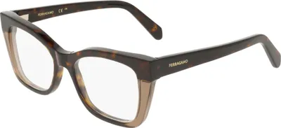 Produktbild von Ferragamo SF3052 Dark tortoise/brown 51/17/145 Damen Brillen