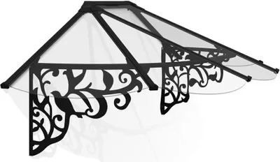 Produktbild von Palram - Canopia Vordach Lily XL 2130 schwarz 88x217 cm