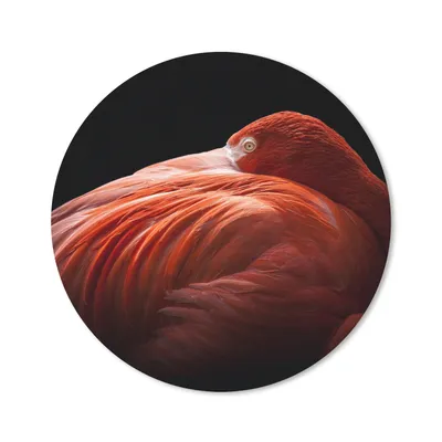 Produktbild von MuchoWow® Mauspad Mousepad Flamingo - Federn - Rosa 40x40 cm - Mousepads - Maus Mat - Pad - Mausunterlage - Schreibtisch Accessoires