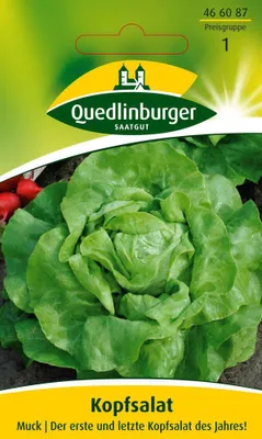 Zdjęcie produktu dla Kopfsalat Muck