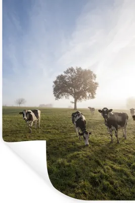 Produktbild von MuchoWow® - Wierderverwendbar - Selbstklebend