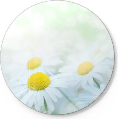 Produktbild von DEQORI Schneidebrett Glas Ø 30 cm 'Frühlingsgänseblümchen' Schneideplatte Servierplatte