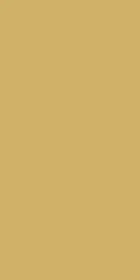Produktbild von 5x DUNI Dunisilk® Tischdecken 138 x 220 cm Gold