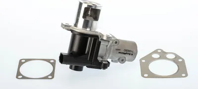 Obrázek produktu pro WAHLER 710928D/1 EGR ventil s těsněním pro RENAULT Clio III Hatchback (BR0/1, CR0/1) Recirkulační ventil výfukových plynů