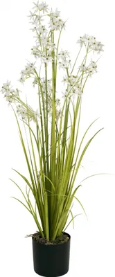 Produktbild von EUROPALMS Jasmingras, Kunstpflanze, weiß, 130 cm (82600171)