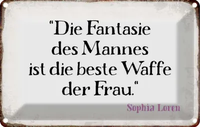 Produktbild von vianmo Blechschild 12x18 cm Fantasie des Mannes beste Waffe Spruch Zitat