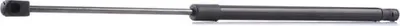 Produktbild von RIDEX 219G0183 Gasfeder Heckklappendämpfer für OPEL Astra G CC (T98) 535mm