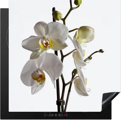 Obrázok produktu pre KitchenYeah® Kryt na sporák biela orchidea, 78x78cm, kuchynská dekorácia, keramický kryt varnej dosky, krycia doska na varnú dosku