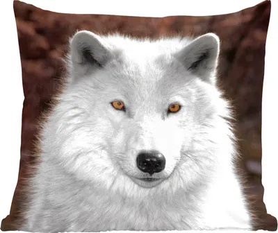 Produktbild von MuchoWow® Zierkissen Sofakissen Wohnzimmer Dekokissen 60x60 cm Wolf - Weiß - Porträt - Sitzfläche - Foto Polster