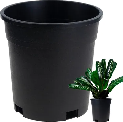 Imagen del producto de TG72940 - Maceta de producción alta, modelo P14, 1,5 litros, redonda, para siembra, con borde, 14x14 cm