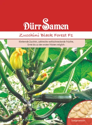 Produktbild von Dürr-Samen - Zucchini Black Forest F1 - Saatgut - 1019