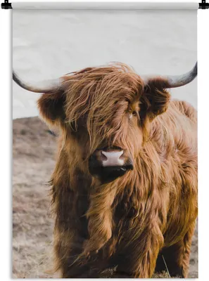 Produktbild von MuchoWow® Wandteppich Wandbehang Schottische Highlander - Landschaft - Kuh - Braun - Tiere - Natur 120x180 cm Tapisserie Dekoration Wandtuch - Schlafzimmer - Dekorationen für das Haus